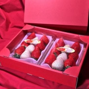 ���򤤤������å� �������٥꡼���ߥ륭���٥꡼ ��300g��2�ѥå����� ���ڸ��� £������ �������Ŭ�ʲ���Ȣ���ꥤ������˭���ʴŤ���ȴ������̣�Υ��ե������å�