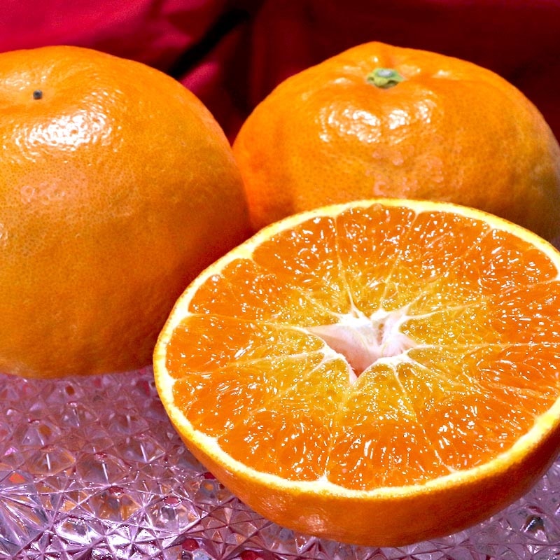 �ˤ��夦�ޤ� ��5kg L��4L������ ���츩�� £������ ��ʿ�Ȼ����ʼ���û��ʥե롼�ġ��ץ��äȤ���������ǻ����̣�ȴŤ�