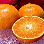 �ˤ��夦�ޤ� ��2.5kg L��4L������ ���츩�� £������ ��ʿ�Ȼ����ʼ���û��ʥե롼�ġ��ץ��äȤ���������ǻ����̣�ȴŤ�