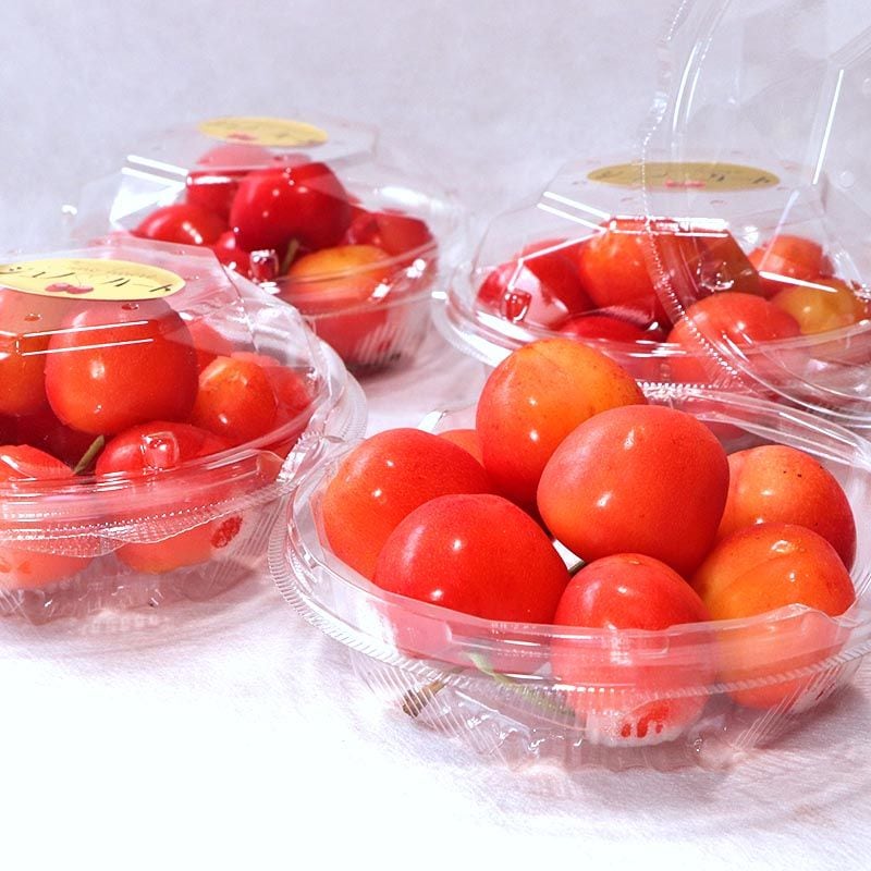 ����Υϡ��� ��γ�������� ��100g��3�ѥå� �Ŀ����� £������ �礭��γ��ȴ����̣���Ť�˭���ʿ��ʼ�Υ��եȥե롼��
