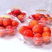 ����Υϡ��� ��γ�������� ��100g��3�ѥå� �Ŀ����� £������ �礭��γ��ȴ����̣���Ť�˭���ʿ��ʼ�Υ��եȥե롼��
