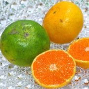 ˤޤ̪ ꡼󲹽ߤ 3kg M2L ̸ ܸ ĿȻ濴 ߥϡܻФβ̼¤˭٤ʲ֤̽䤫ʴŤ