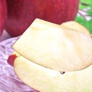 ι ֤ 5kg 1220 긩 ʤ̣ȾʤʴŤ̪Ԥοʼ