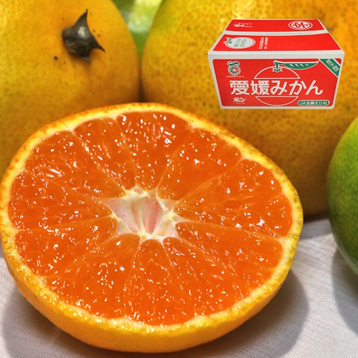 ���¤����� �ߤ��� ��ɲ���� 10kg 2S��M������ ���������鲹���ʼ��졼 JA���Ҥ��� �����󥵡� �ߤʤߤ��� ���� ������