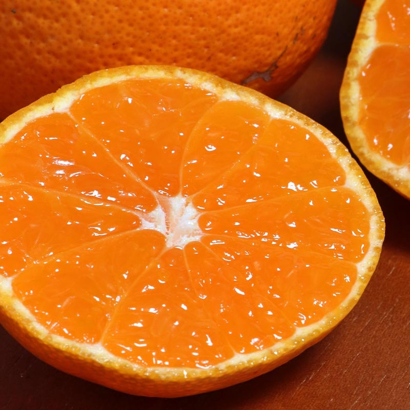 ¢�Ф��ߤ��� ���ܸ��� ��10kg M��2L������ �ˤޤ�̪�� �����ߥ��� �Ŀ����Ȥǰ�Ƥ����ܤΥߥ���