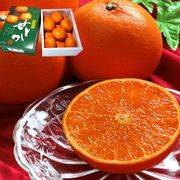 ���Ȥ� �������� ��2.5kg 10��18������ ���츩�� £���� ����Ȣ���� ��饿�󥴡������ɽ�ʼ�Ȥ�����褦�ʲ�����ǻ���ʴŤߤδ���