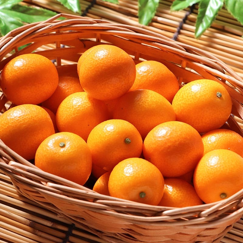 ���϶ⴻ �������󤫤� ��4kg S��L������ �ܺ긩�� JA������ ���󥫥���ܾ�ǰ�Ƥ�ȴ���α��ܤȹ����١�