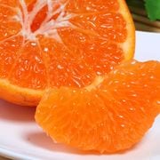 �Ϥ�� ��5kg M��2L������ ��ɲ���� £������ JA�������Ҥ� �ץ��ץ��ο����ȿ��ٰפ����֤䤫�ʴŤ�����̣