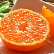 �ݥ󥫥� ��9��10kg L��3L������ ��ɲ���� £������ JA������ ������ʻ�̣�ȼ����������顪���ȴŤ�˭���ʰ�ɲ�����δ���