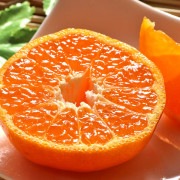 �ݥ󥫥� ��5kg L��3L������ ��ɲ���� £������ JA������ ������ʻ�̣�ȼ����������顪���ȴŤ�˭���ʰ�ɲ�����δ���