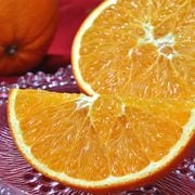 �񻺥͡��֥� ��10kg L��3L������ ���ܸ��� �Ŀ����Ȼ��濴 �Ť�����ȴ����̣����̵���β�����ǻ���ʲ̽�