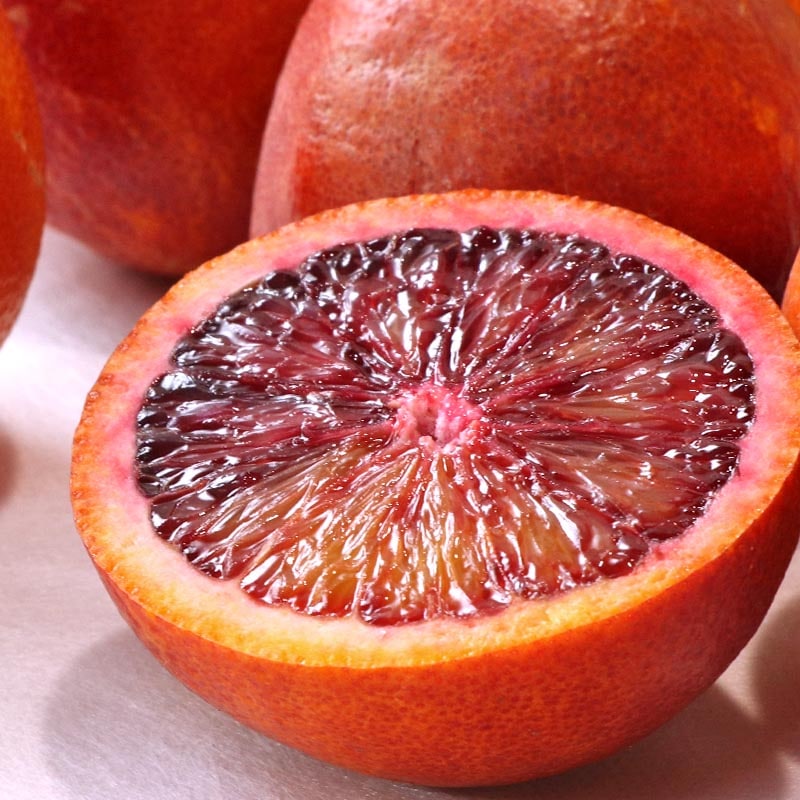 �֥�åɥ���� ����������å��� ��2.5kg M��2L������ ��ɲ���� ���� ���䤫�ʲ�����ǻ���ʴŤ����֤䤫����̣�ι񻺥���󥸡�