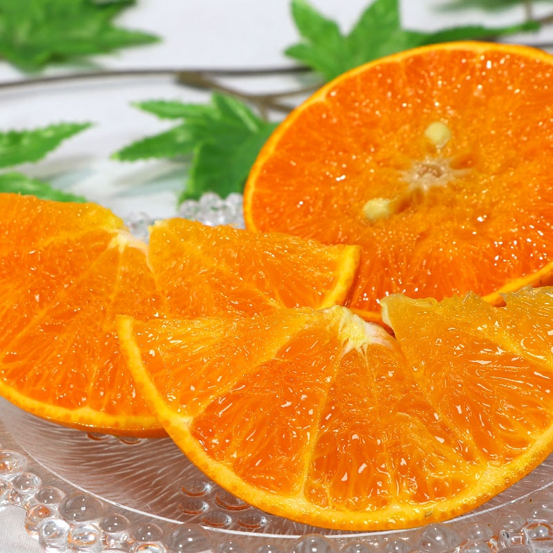 ��������� 5kg L��4L������ �²λ����� JA����Τ ����ͥ�� ���塼�����ʿ����ȴŤ��ο͵��ʼ�