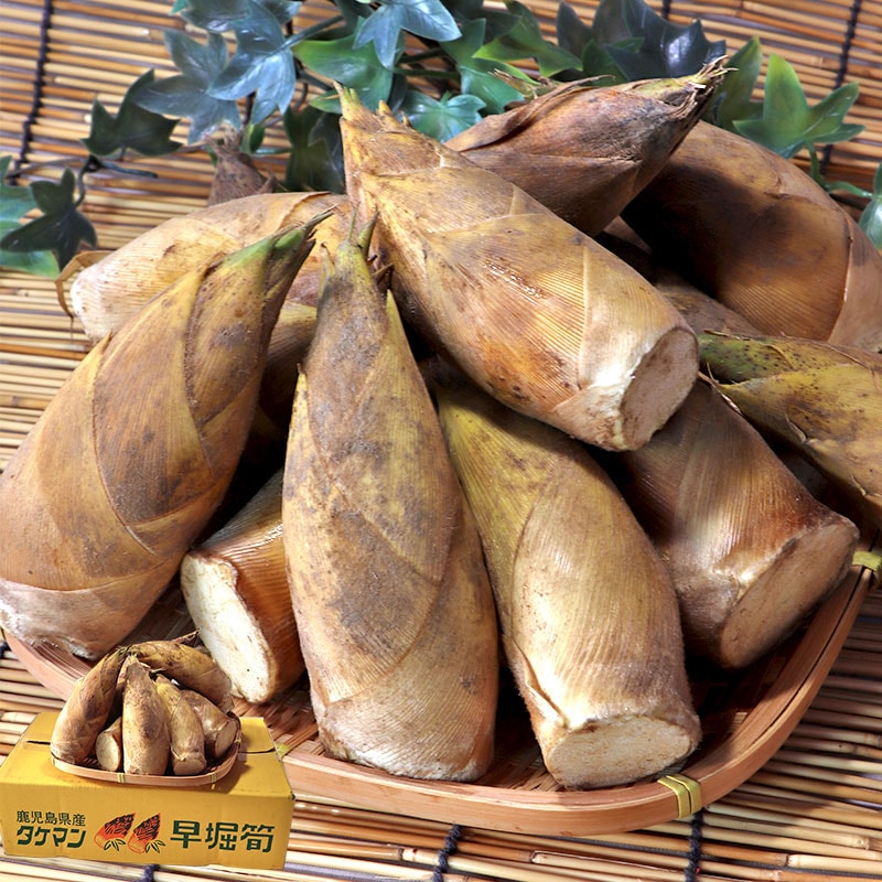 ���٤�� �������Τ� ��2kg 4��8�� �����硦���ܸ��� �����ߤ��ʤ����餫���ܤ�̣���Ϥ���