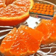���β� JA���ޤ�� ��2.5kg 7��12�� ���ܸ��� £������ ����̤� ǻ���ʴŤ������褤��̣�ο͵��ʼ�ܾ�ǰ�Ƥ�ȴ����̣