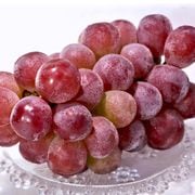 ��������å� ����ƺ ��1��1.2kg 2˼ �������� £������ ���㥤��ޥ����åȤ������ޤ줿��̵�����եȤ֤ɤ���