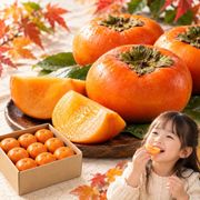 �Ὡ�� �������夦���� ��3.75kg ʡ������ ������ ������ ��̩�ʲ�����˭�٤ʲ̽��������ʼ�δ����ų�