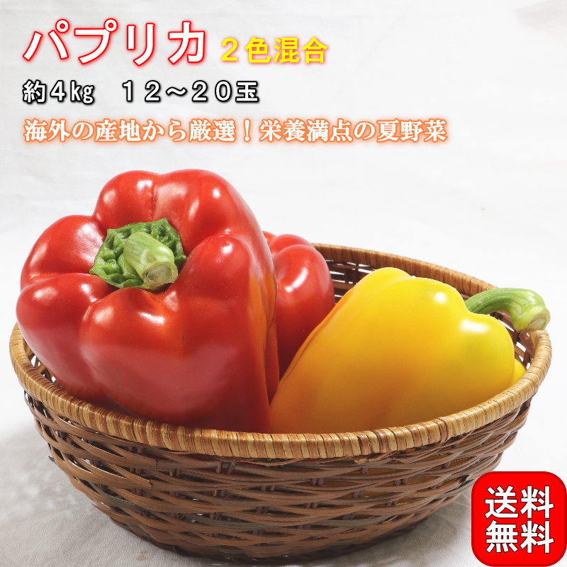 �ѥץꥫ 2������ ��4kg 12��20�� �ڹ������� ����˭�٤ʳ������ѥץꥫ���͡��ʤ������ǻȤ������ڡ���ڥ���ꥨ/�ե롼�ĥޥ������������֡���