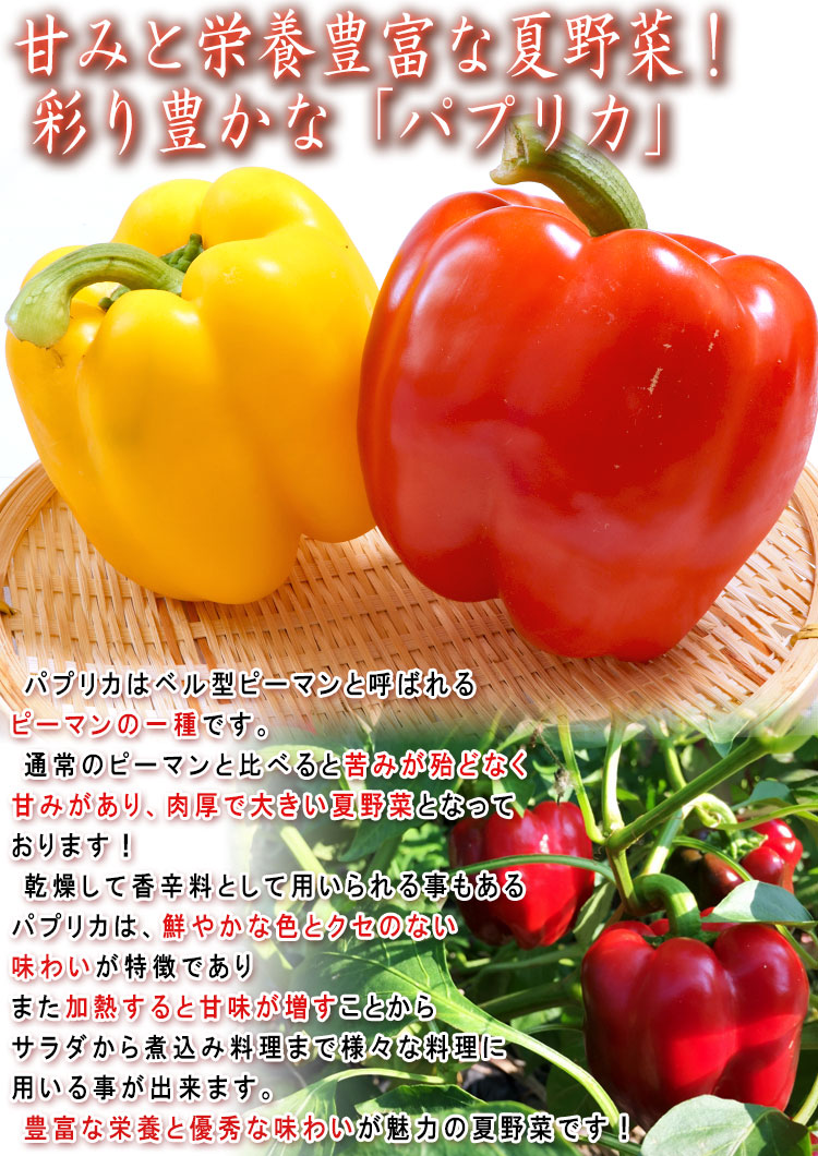 �ѥץꥫ 2������ ��4kg 12��20�� �ڹ������� ����˭�٤ʳ������ѥץꥫ���͡��ʤ������ǻȤ������ڡ���ڥ���ꥨ/�ե롼�ĥޥ������������֡���