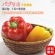 �ѥץꥫ 2������ ��4kg 12��20�� �ڹ������� ����˭�٤ʳ������ѥץꥫ���͡��ʤ������ǻȤ������ڡ���ڥ���ꥨ/�ե롼�ĥޥ������������֡���