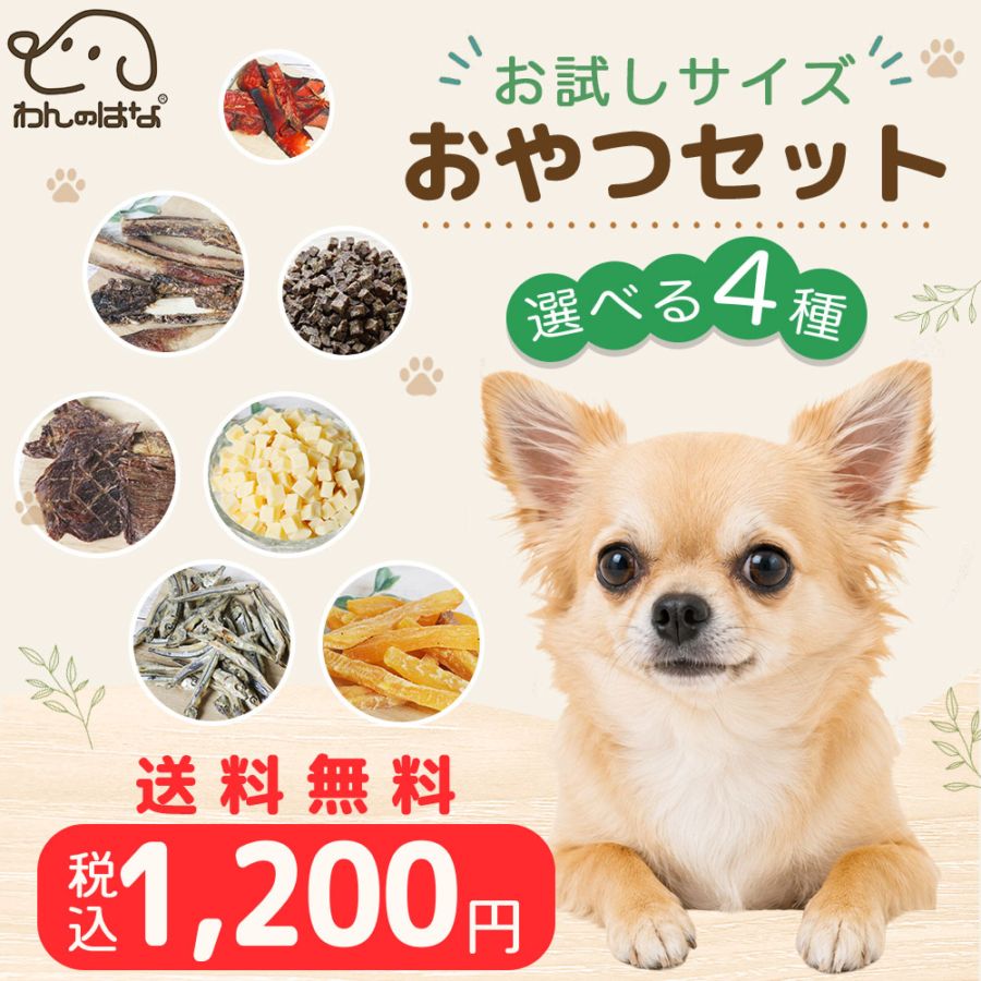 特集,おやつセット