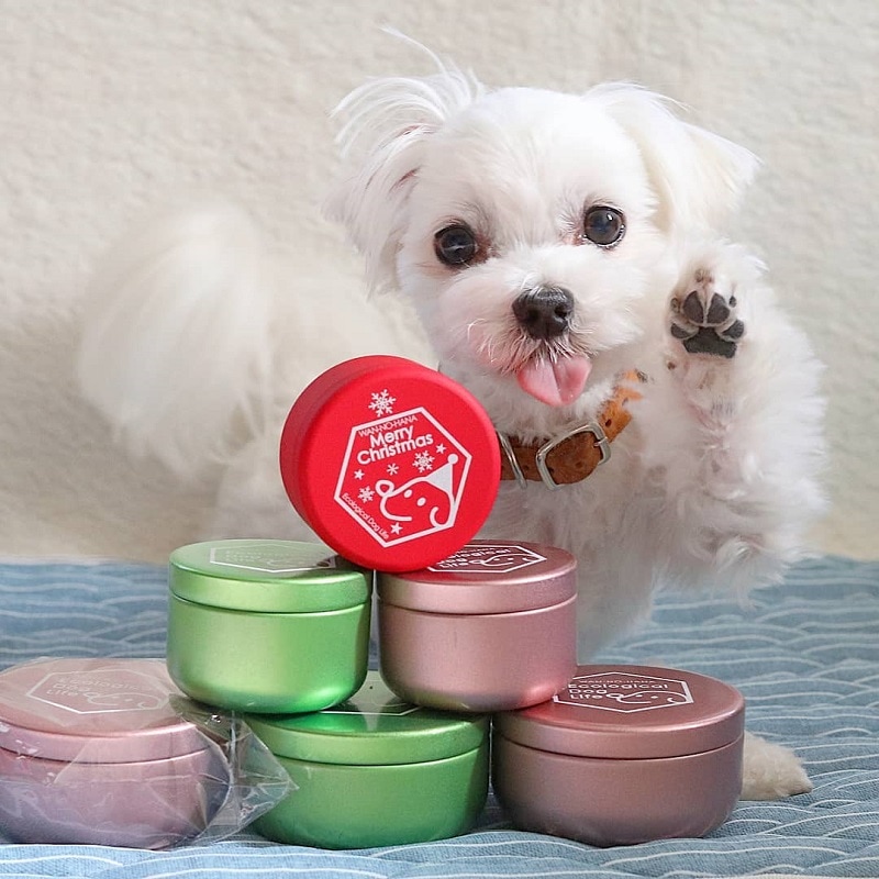 わんのはな おやつカプセルピッコロ ピンク