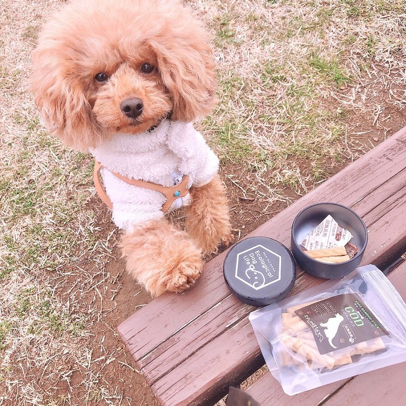 わんのはな おやつカプセルピッコロ ピンク