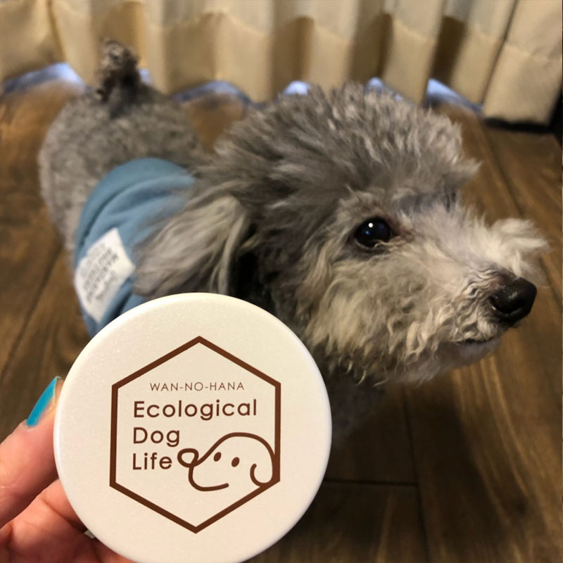 わんのはな おやつカプセルピッコロ ピンク