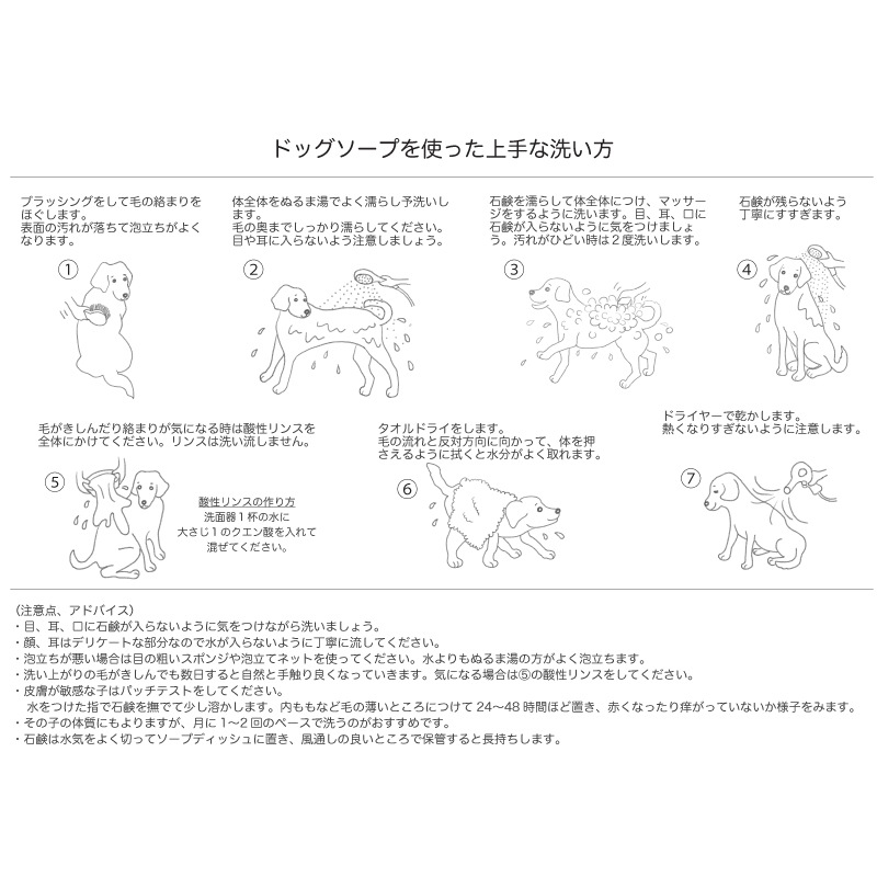 かさえる様専用 品種