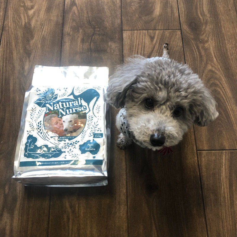ナチュラルナース ドッグフード 2.4kg ナチュラルナース 2.4kg×6袋 Natural Nurse 高品質・完全無添加