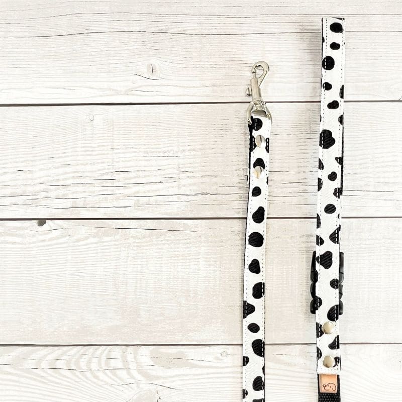 わんのはな ダルメシアン柄 カラー・リードSET Mサイズ ※お1人様