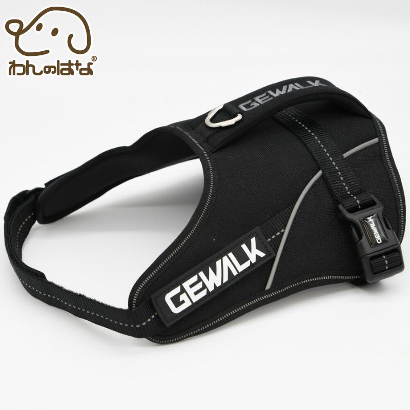 3_000000003383.jpg?1695795008