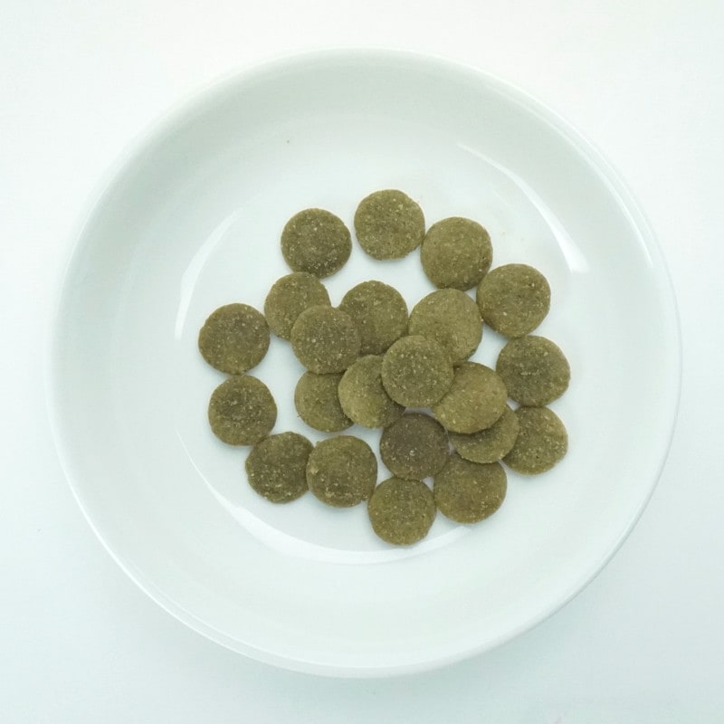 アディクション サーモンブルー グレインフリードッグフード 500g