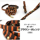 【カラー＆リードセット】D×2オリジナル手作りカラー＆リード