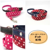【カラー＆リードセット】ドット 2色 D×2オリジナル手作りカラー＆リード