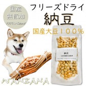 犬・猫用おやつ　納豆 40g 国産大豆100％使用 無添加フードのトッピングやおやつ　フリーズドライ トリーツ フード ドッグ ナチュラル 天然 帝塚山WANBANA 6480円以上 送料無料