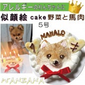 犬用 似顔絵ドッグケーキ を立体に！ 1頭描き 野菜と馬肉 生地 5号 誕生日に無添加で安心人気 バースデー 名前入れ WANBANAワンバナ 6480円以上 送料無料