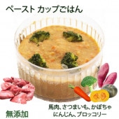 即日出荷 犬用のごはん ペースト状馬肉のポトフ 無添加 ウェットフード 小中大型犬用 柔らかい 介護食 流動食 離乳食 お祝いの健康食 カップごはん デリカテッセン ごちそう ドッグフード トッピング 記念日 手作り 安心 低カロリー 帝塚山ワンバナ