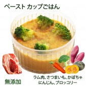 即日出荷 犬用のごはん ペースト状ラム肉のポトフ 無添加 ウェットフード 小中大型犬用 柔らかい 介護食 流動食 離乳食 お祝いの健康食 カップごはん デリカテッセン ごちそう ドッグフード トッピング 記念日 手作り 安心 低カロリー 帝塚山ワンバナ