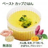 即日出荷 犬用のごはん ペースト状　大山鳥かぼちゃリゾット 無添加 ウェットフード 小中大型犬用 柔らかい 介護食 流動食 離乳食 お祝いの健康食 カップごはん デリカテッセン ごちそう ドッグフード トッピング 記念日 手作り 安心 低カロリー 帝塚山ワンバナ