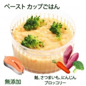 即日出荷 犬用のごはん ペースト状　サーモン＆ベジタブル 無添加 ウェットフード 小中大型犬用 柔らかい 介護食 流動食 離乳食 お祝いの健康食 カップごはん デリカテッセン ごちそう ドッグフード トッピング 記念日 手作り 安心 低カロリー 帝塚山ワン