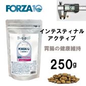 無料健康相談付き FORZA10/フォルツァ10 インテスティナルアクティブ ドライ 250ｇ 療法食/消化器サポート/胃腸ケア 消化不良に イタリア産 ドッグフード