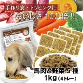 犬用厳選!包丁いらず簡単レンチンOKろくよん馬肉6：5種の野菜4黄金比率1kg(42g×24個)国産 無添加 毎日続けられる価格トッピングごはんや手作り食に健康寿命をのばす命と向き合い 20周年 ワンバナ アレルギーのわんちゃんにパピーからシニアまで人間用の食材のみ使用