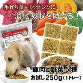 犬用厳選!包丁いらず簡単レンチンOKろくよん シカ肉6：5種の野菜4黄金比率250g(42g×6個)国産 無添加 毎日続けられる価格トッピングごはんや手作り食に健康寿命をのばす命と向き合い 20周年 ワンバナ アレルギーのわんちゃんにパピーからシニアまで人間用の食材のみ使用