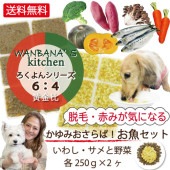 犬 手作り ごはん 国産 無添加 いわし・サメ 各250g 2種セット フィッシュ 魚 野菜 アレルギー 痒み 皮膚炎 外耳炎 体質改善 低脂肪 高タンパク 涙やけ 健康 低脂肪 ご飯 ドッグフード ウェット 食べない 偏食 水分たっぷり 栄養食 無料健康相談つき 初回 送料無料