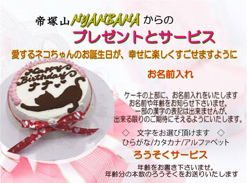 Amazon.co.jp: 創業20年ワンバナ 猫用 誕生日 ケーキ 名入れ可