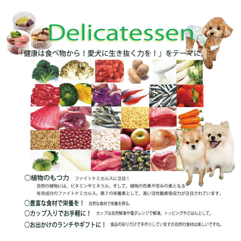 犬 ごはん ドッグフード トッピング 無添加 おやつ 手作り ディナー おかず　惣菜 ウェット シニア パピー 