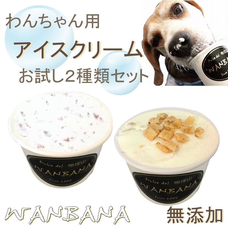犬,アイス,用,わんこ,おやつ,クリーム,シャーベット,スイーツ,馬肉,冷凍,夏,冷たい,体温,おいしい,食べっぷり,食
