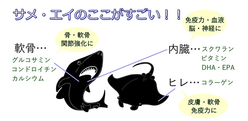 犬,用,ペット,猫,ふりかけ,水分補給,完全,国産,無添加,サメ,軟骨,カルシウム,関節保護,魚,フィッシュ,ぱらぱら,お得用,アレルギー,低カロリー,乾燥,タイプ,プレミアム,高級,スタミナアップ,シニア犬,ﾜﾝﾊﾞﾅ