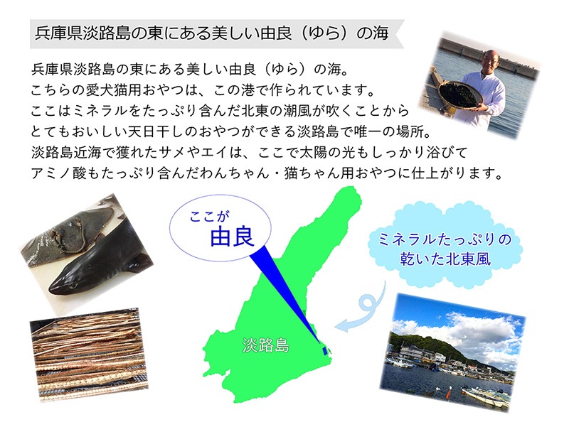 犬,用,ペット,猫,ふりかけ,水分補給,完全,国産,無添加,サメ,軟骨,カルシウム,関節保護,魚,フィッシュ,ぱらぱら,お得用,アレルギー,低カロリー,乾燥,タイプ,プレミアム,高級,スタミナアップ,シニア犬,ﾜﾝﾊﾞﾅ